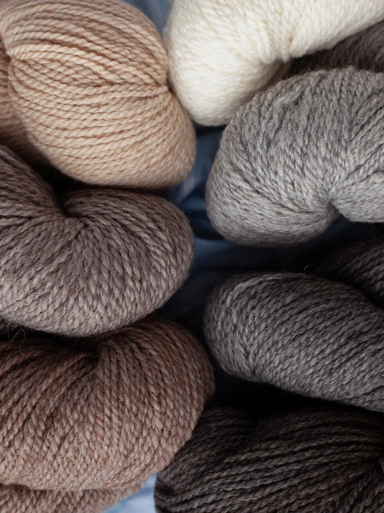 Better Breakfast Worsted <br><small>merino & alpaca</small>