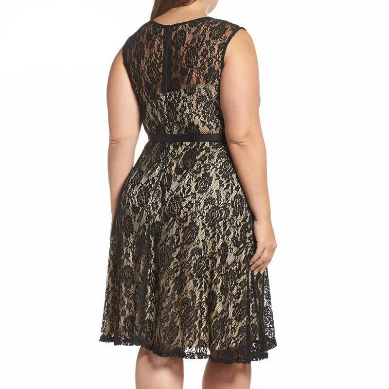 Black Lace Elegant Belt Dress